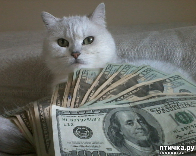 ���� 4: ����������)))