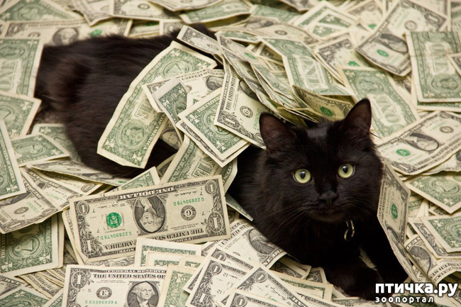 ���� 5: ����������)))