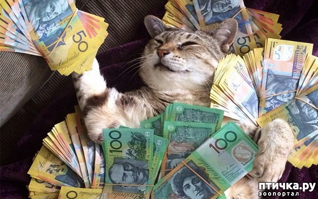 ���� 7: ����������)))