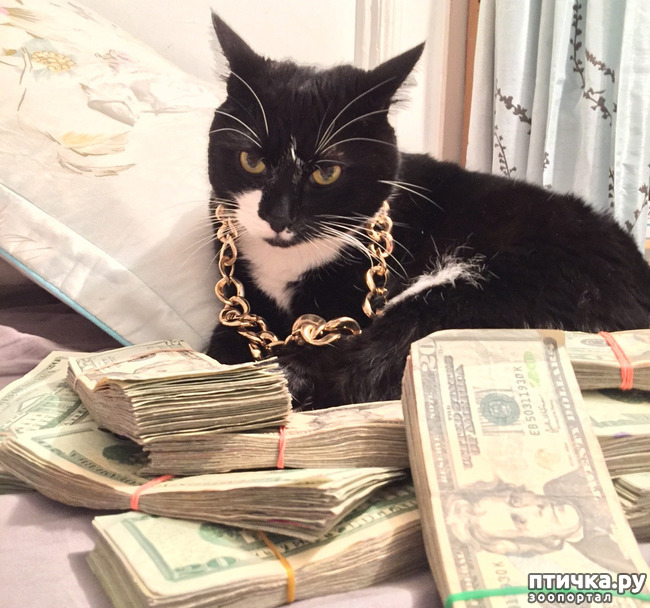 ���� 9: ����������)))