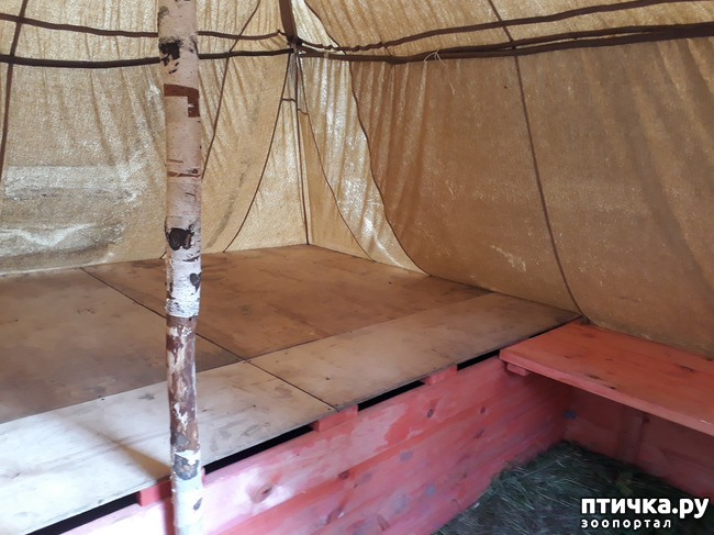 ���� 25: ��� � ���� � ������ ���� �����