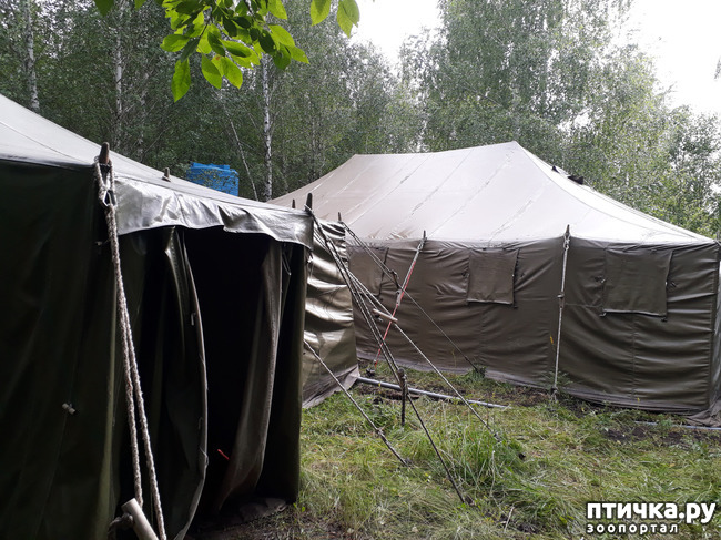 ���� 26: ��� � ���� � ������ ���� �����