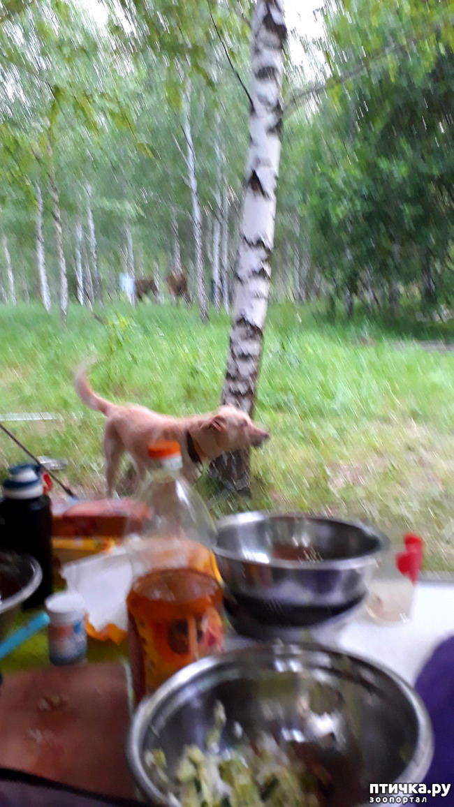 ���� 27: ��� � ���� � ������ ���� �����