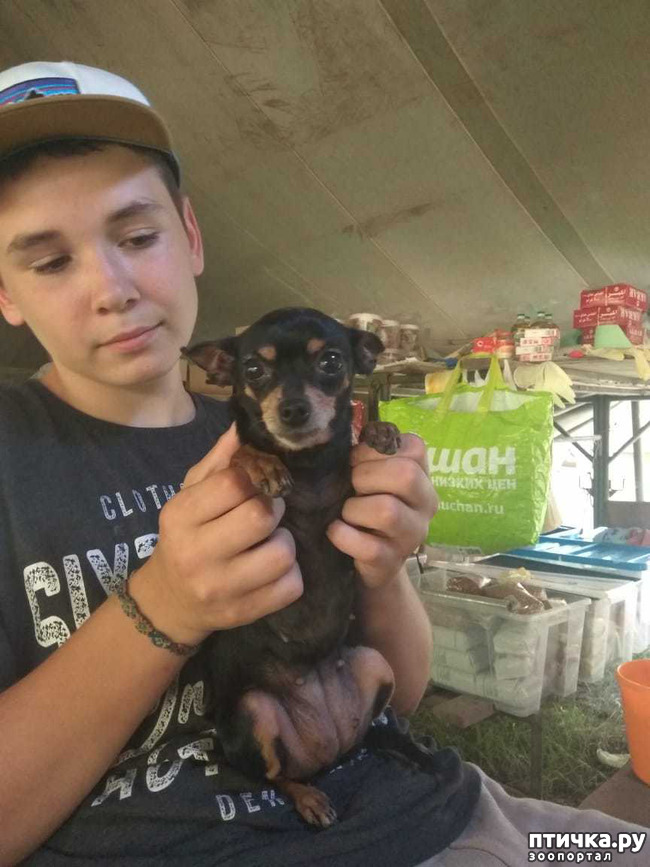 ���� 28: ��� � ���� � ������ ���� �����