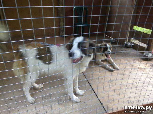 ���� 29: ��� � ���� � ������ ���� �����