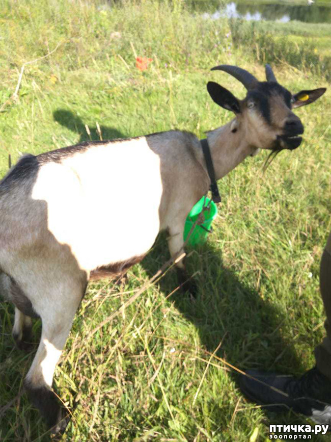 ���� 30: ��� � ���� � ������ ���� �����