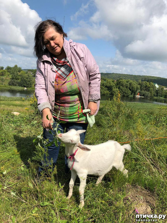 ���� 31: ��� � ���� � ������ ���� �����