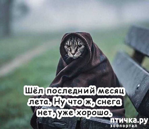 ����: ������� � ����� ������.