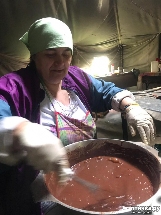 ���� 32: ��� � ���� � ������ ���� �����