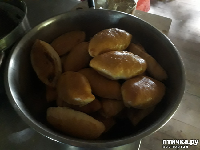 ���� 33: ��� � ���� � ������ ���� �����