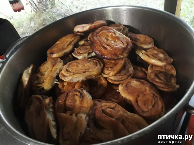 ���� 35: ��� � ���� � ������ ���� �����