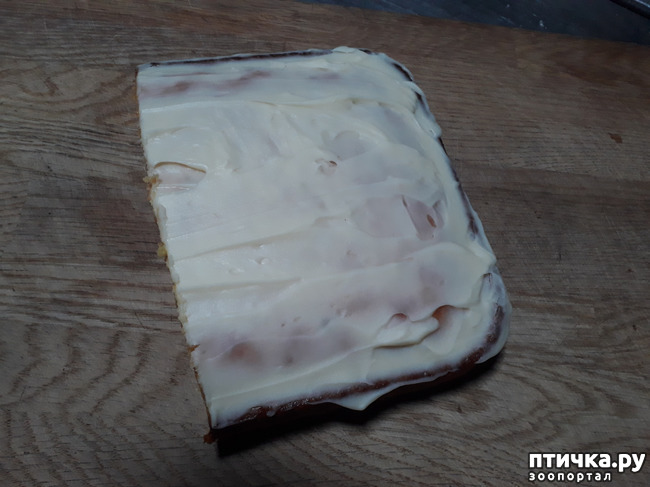 ���� 37: ��� � ���� � ������ ���� �����