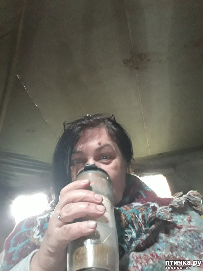 ���� 39: ��� � ���� � ������ ���� �����