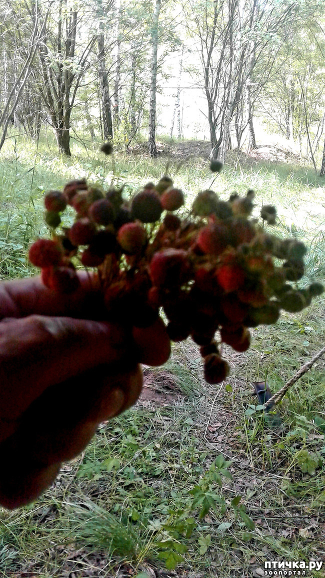 ���� 40: ��� � ���� � ������ ���� �����