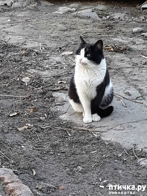 ����: ������������ � ��������� ���������. ������� ����������� ��� ������� �� ���� �����?