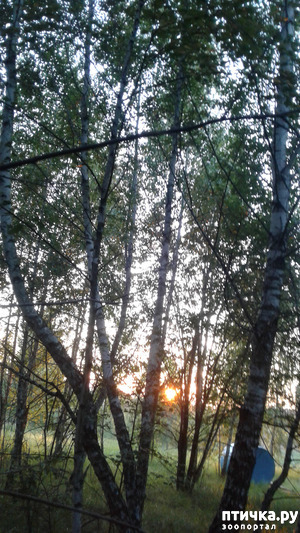 ����: ��� � ���� � ������ ���� �����