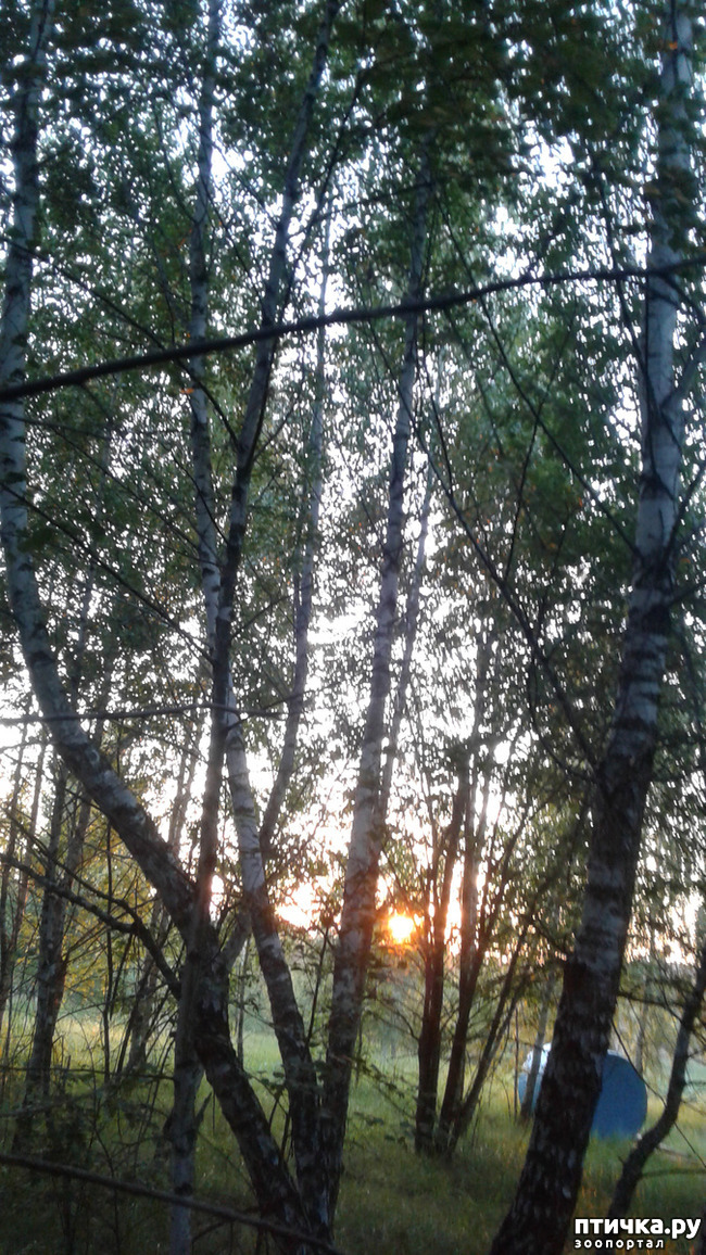 ���� 1: ��� � ���� � ������ ���� �����