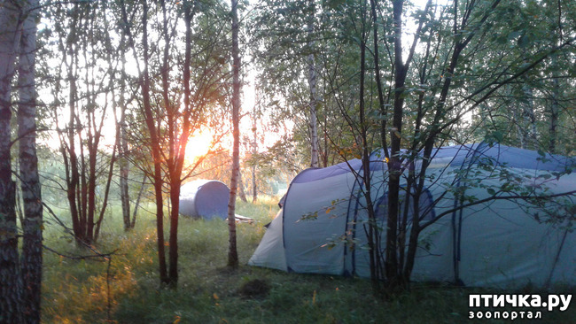 ���� 2: ��� � ���� � ������ ���� �����