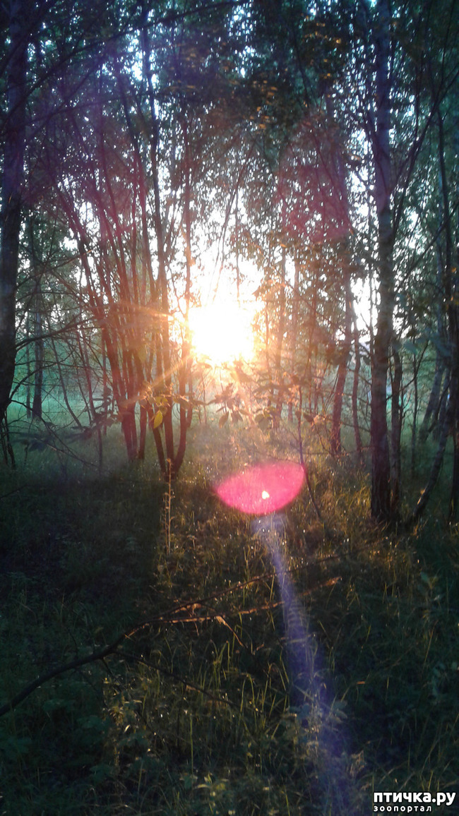 ���� 3: ��� � ���� � ������ ���� �����