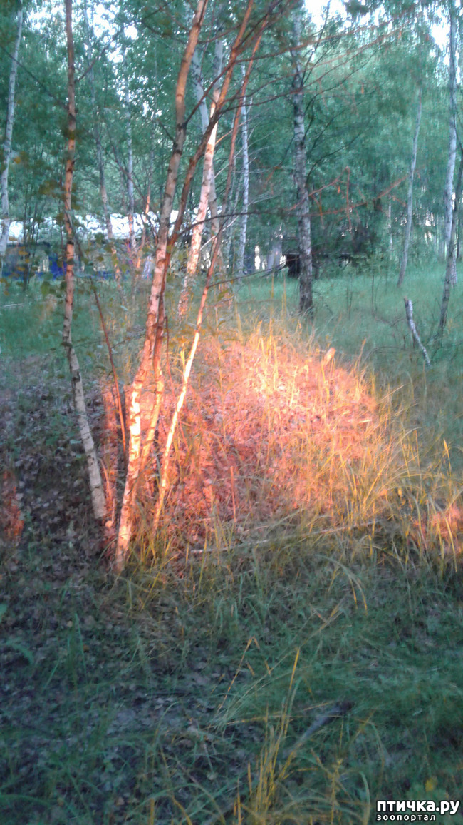 ���� 4: ��� � ���� � ������ ���� �����