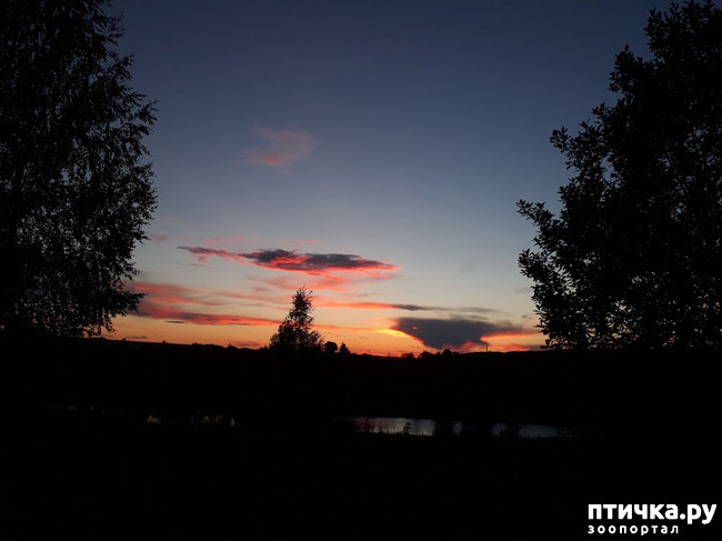 ���� 5: ��� � ���� � ������ ���� �����