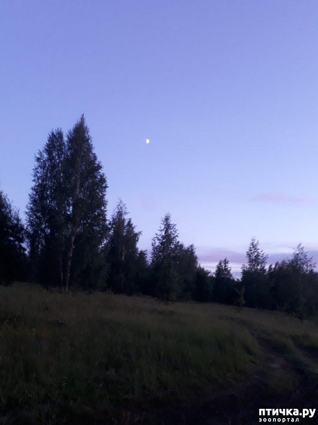 ���� 6: ��� � ���� � ������ ���� �����