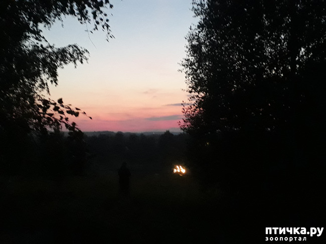 ���� 7: ��� � ���� � ������ ���� �����