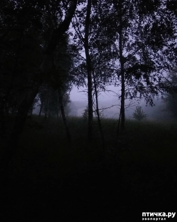 ���� 8: ��� � ���� � ������ ���� �����