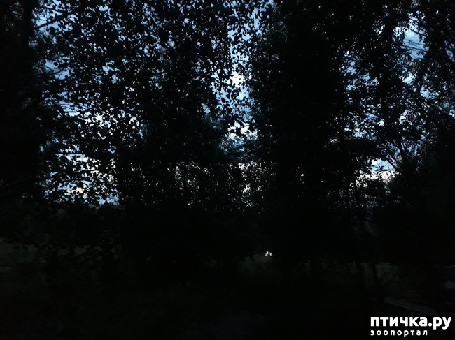 ���� 9: ��� � ���� � ������ ���� �����