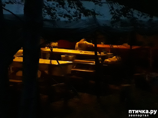 ���� 10: ��� � ���� � ������ ���� �����