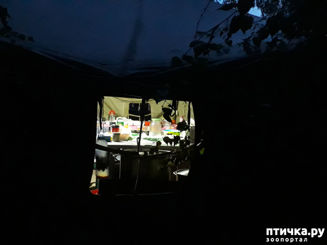 ���� 11: ��� � ���� � ������ ���� �����