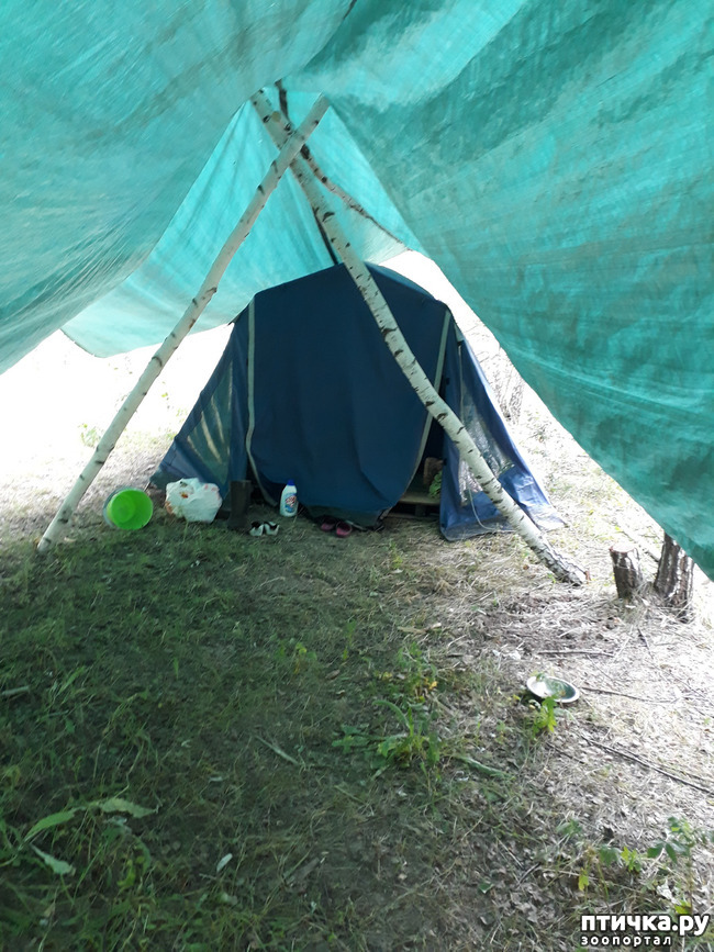 ���� 12: ��� � ���� � ������ ���� �����