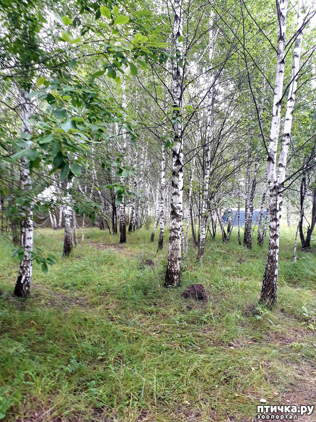 ���� 13: ��� � ���� � ������ ���� �����