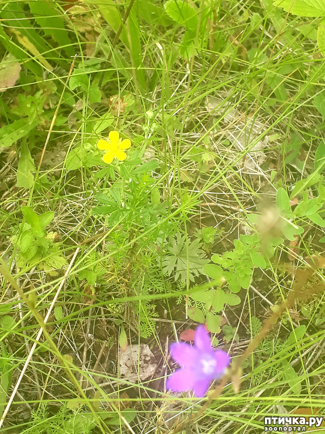 ���� 14: ��� � ���� � ������ ���� �����