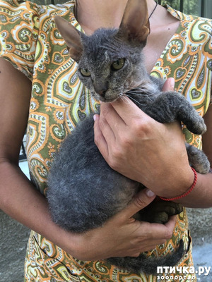 ����: ������� ������ ���� � ��...