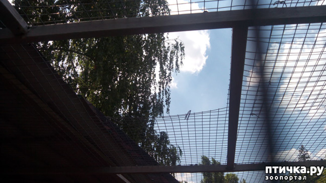 ���� 5: ������������