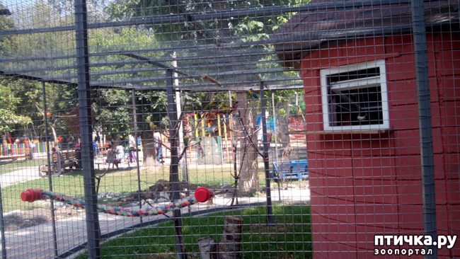 ���� 3: ������������