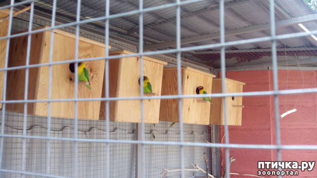 ���� 4: ������������