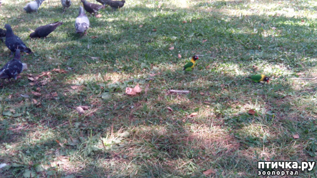 ���� 6: ������������