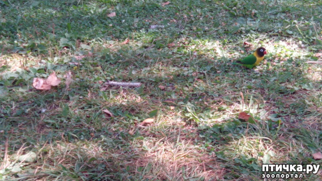 ���� 7: ������������