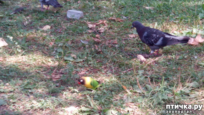 ���� 8: ������������