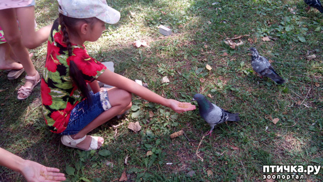 ���� 9: ������������