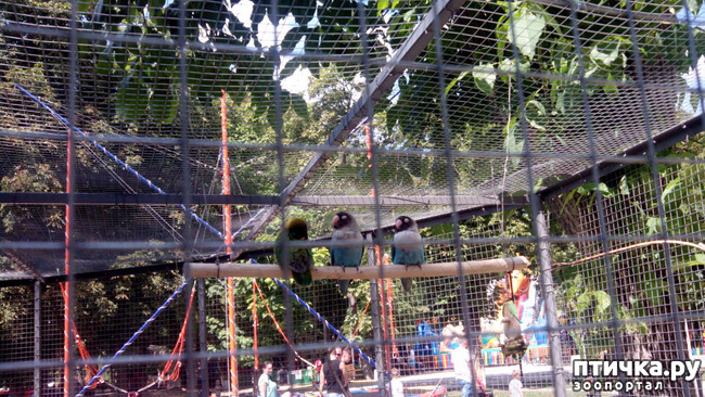 ���� 1: ������������