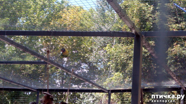 ���� 10: ������������