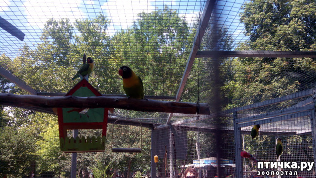 ���� 11: ������������