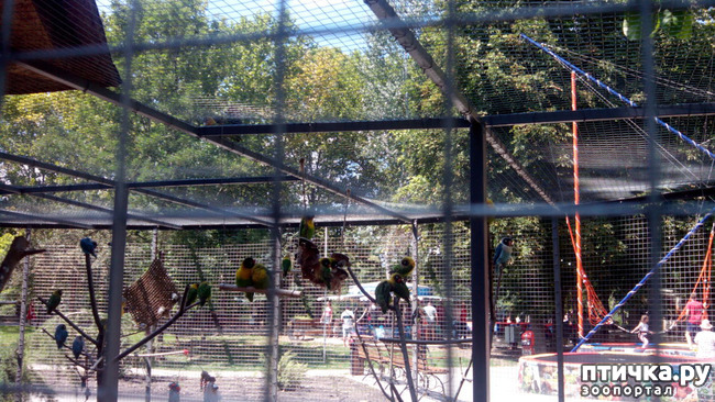 ���� 12: ������������