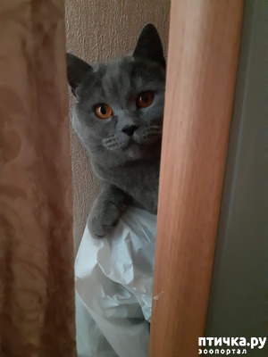 ����: ������������ ������������ ����� � ��������� ������������