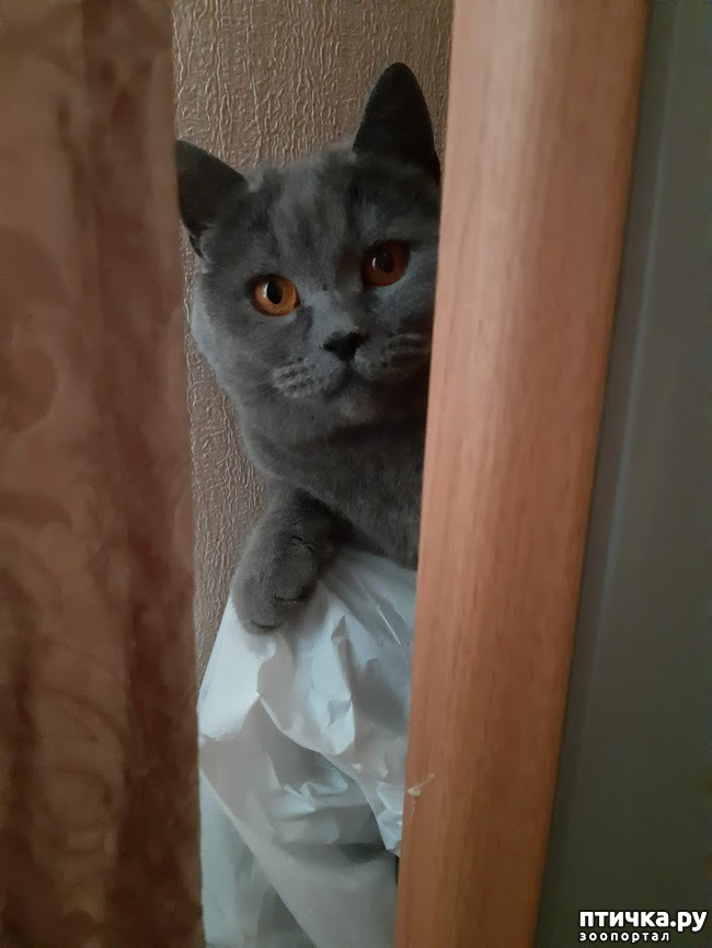 ���� 1: ������������ ������������ ����� � ��������� ������������