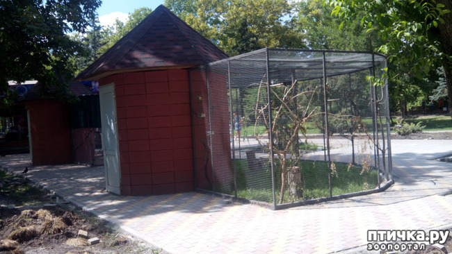 ���� 2: ������������