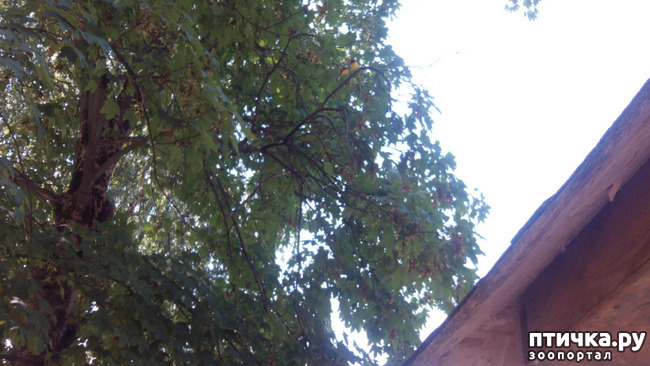 ���� 13: ������������